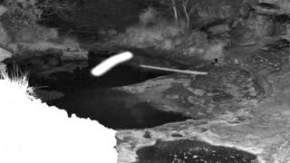 Still 1 from this detection