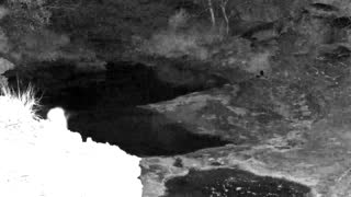 Still 1 from this detection