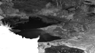 Still 1 from this detection