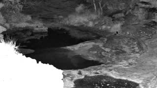 Still 1 from this detection