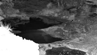 Still 1 from this detection