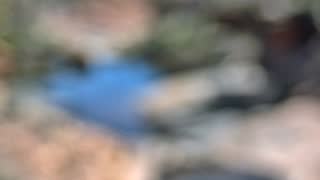 Still 1 from this detection