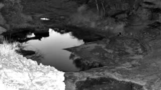 Still 1 from this detection