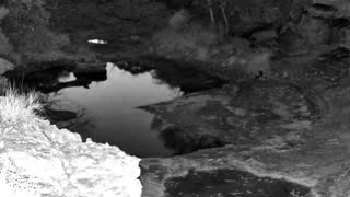 Still 1 from this detection