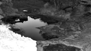 Still 1 from this detection
