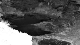 Still 1 from this detection