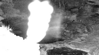 Still 1 from this detection