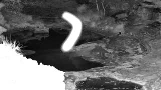 Still 1 from this detection