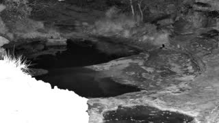Still 1 from this detection