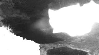 Still 1 from this detection