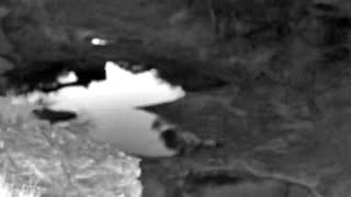 Still 1 from this detection