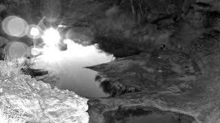 Still 2 from this detection