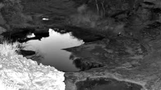 Still 2 from this detection
