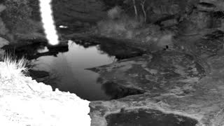 Still 1 from this detection