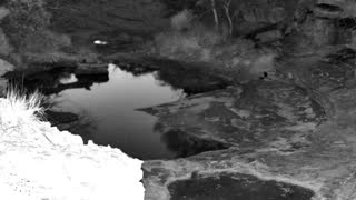 Still 2 from this detection
