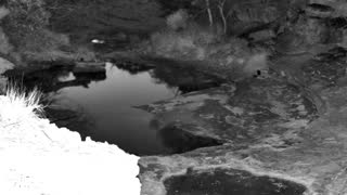 Still 1 from this detection
