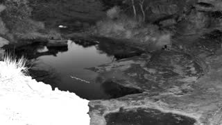 Still 2 from this detection