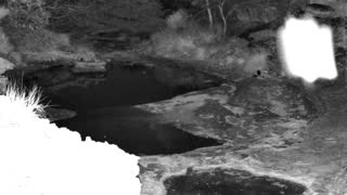 Still 1 from this detection