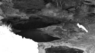 Still 2 from this detection