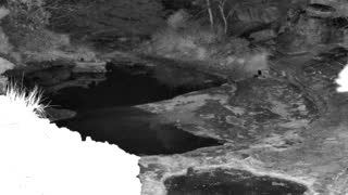 Still 2 from this detection