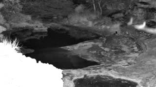 Still 2 from this detection