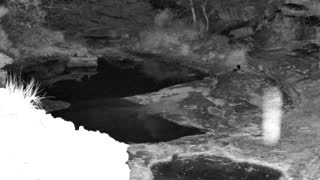 Still 1 from this detection