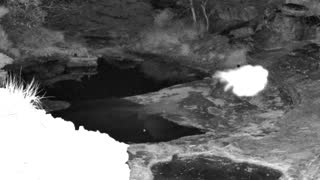 Still 1 from this detection