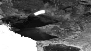 Still 1 from this detection