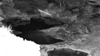 Still 2 from this detection