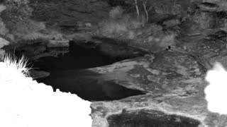 Still 1 from this detection