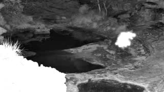 Still 1 from this detection