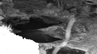 Still 1 from this detection