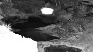 Still 1 from this detection