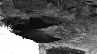 Still 3 from this detection
