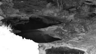 Still 1 from this detection