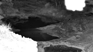 Still 2 from this detection