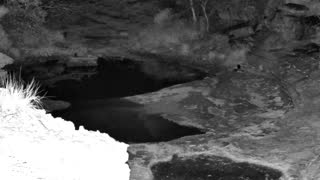 Still 3 from this detection