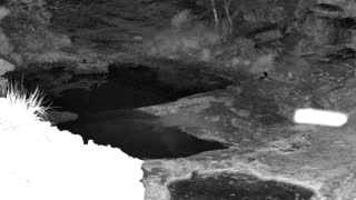 Still 1 from this detection