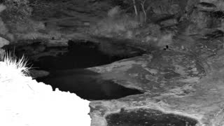 Still 3 from this detection