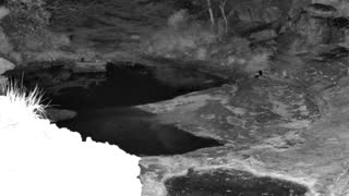 Still 3 from this detection
