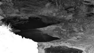 Still 1 from this detection