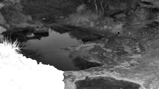 Still 1 from this detection