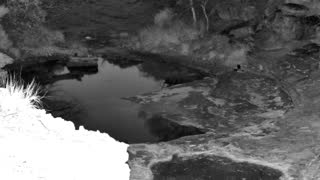Still 3 from this detection