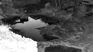 Still 3 from this detection