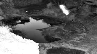 Still 2 from this detection