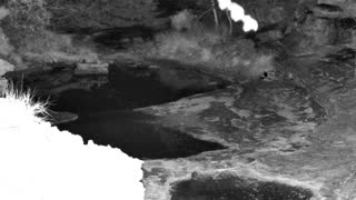 Still 2 from this detection