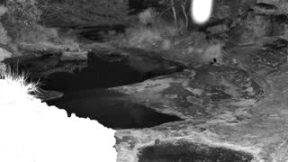 Still 1 from this detection