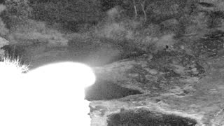 Still 2 from this detection
