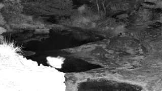 Still 2 from this detection
