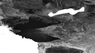 Still 1 from this detection